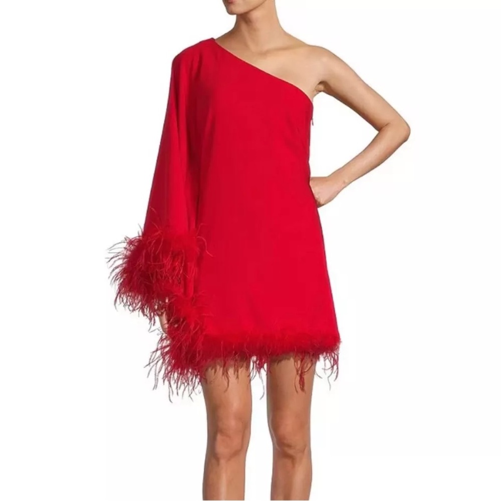 Worn Once Antonio Melani Cosima Feather Trim Asymmetrical One Sleeve Shift Dress